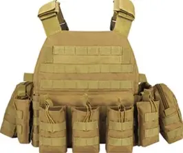 PLATE  CARRIER