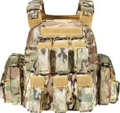 PLATE   CARRIER